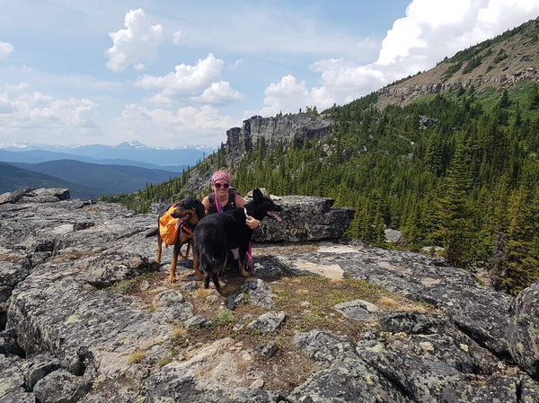 dog and girl on mountain top