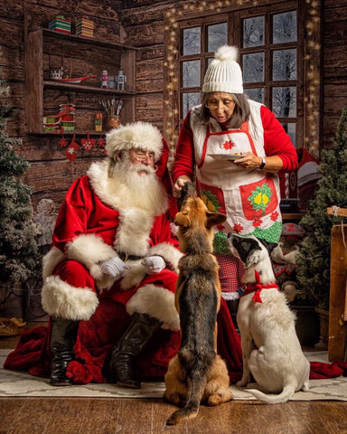 dogs meet santa and mrs claus