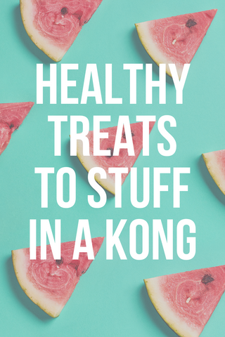 healthy foods to stuff in a kong