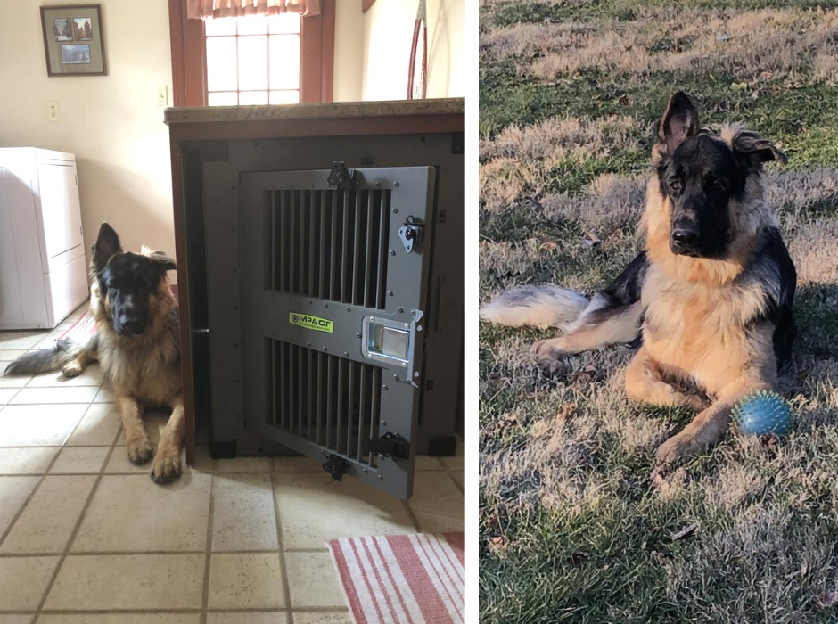 heavy duty dog crate for german shepherd