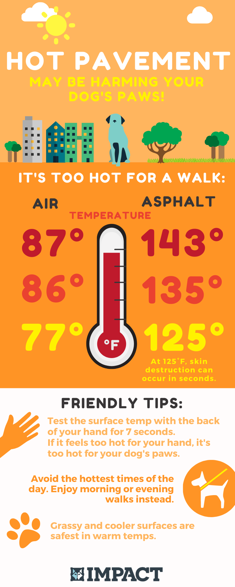 hot temperatures dangerous for dogs paws infographic