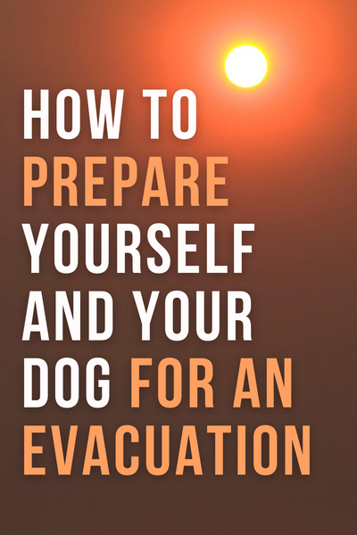 how to prepare yourself and your dog for an evacuation