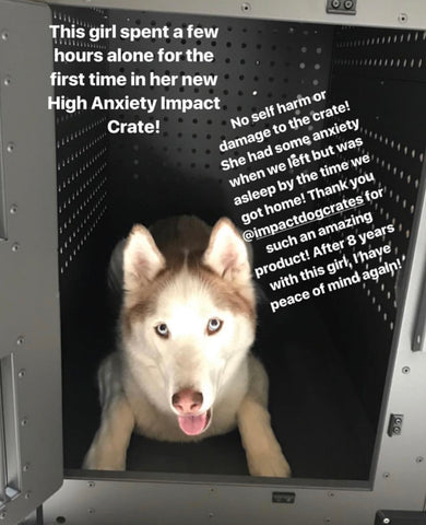 high anxiety escape proof crate review for husky