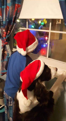 kid and dog looking for santa
