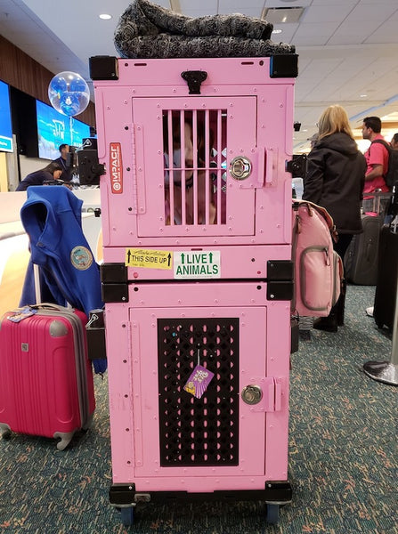 pink collapsible and side door stationary impact dog crates stacked in airport with wheel cart