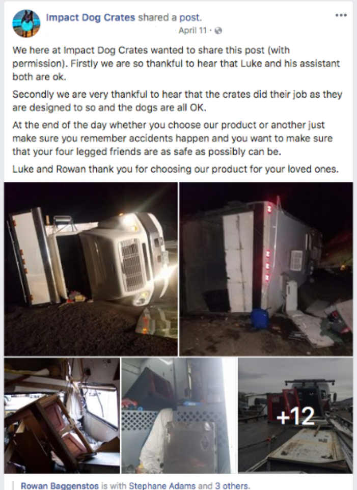 facebook post of impact dog crates in rollover accident saves all 9 dogs