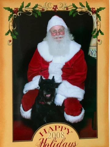 dog santa photo