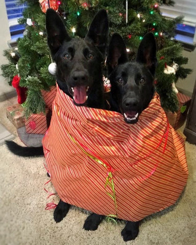 shepherds in wrapping paper