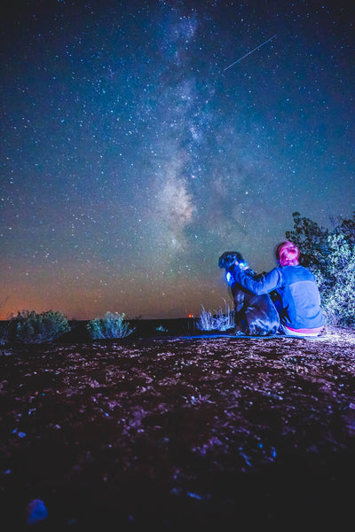starry night sky in texas with girl and dog