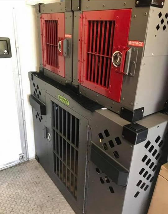 stationary impact dog crates setup in rv