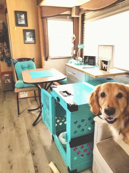 golden retriever with teal collapsible impact dog crate in rv