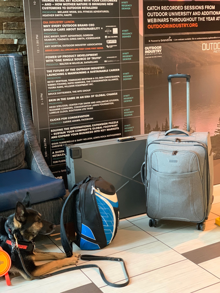 how to fly with collapsible impact dog crate as luggage
