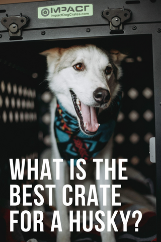what is the best crate for a husky