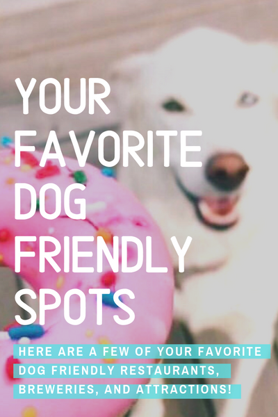 your favorite dog friendly spots