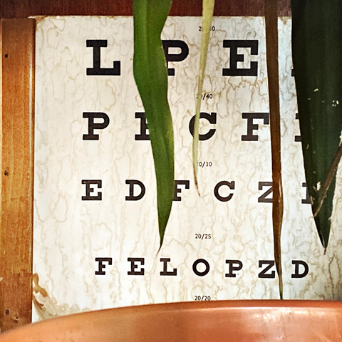 Herbs for Eye Health