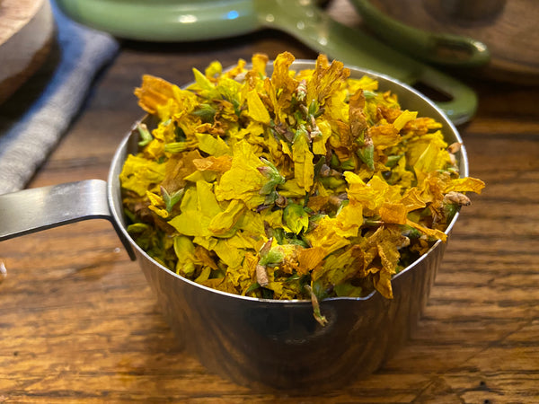 Forsythia Flowers for Syrup