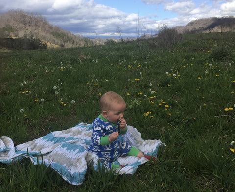 Baby picking dandelions