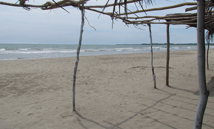 Melhores Praias de Cartagena - Manzanillo de mar