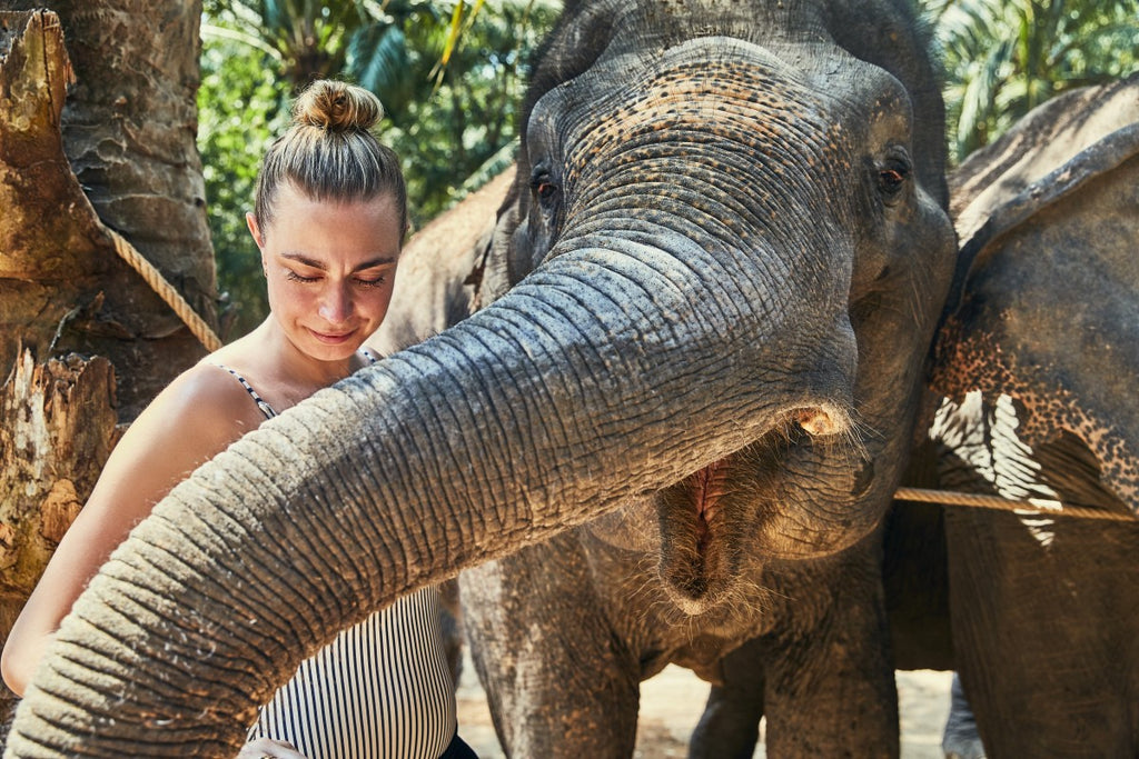 Vegan woman chooses vegan lifestyle for the animals, like this Asian elephant.