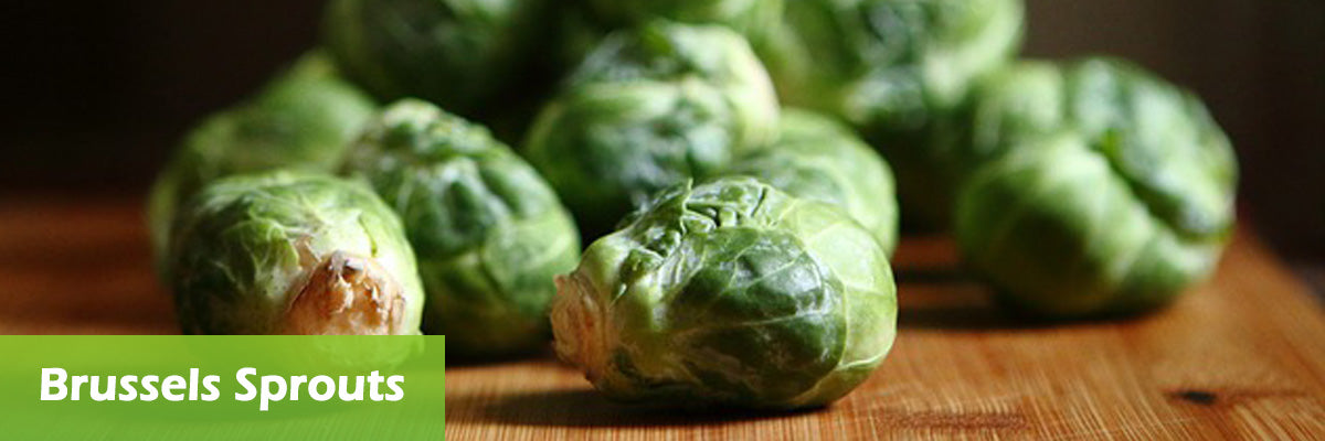 Brussels Sprouts