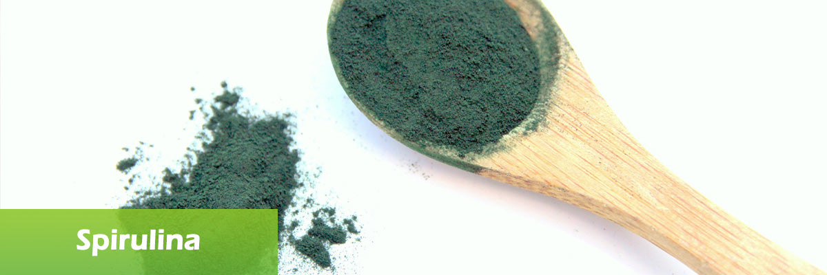 Spirulina