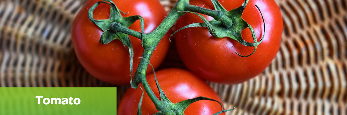 tomato superfood