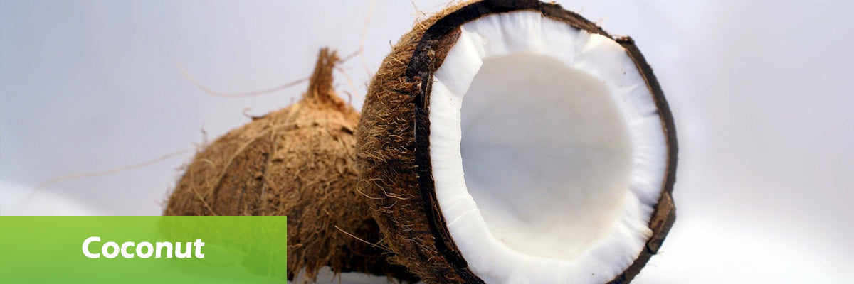 coconut superfood