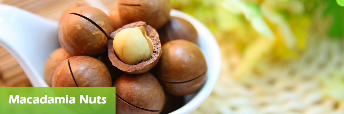 macadamia nuts superfood