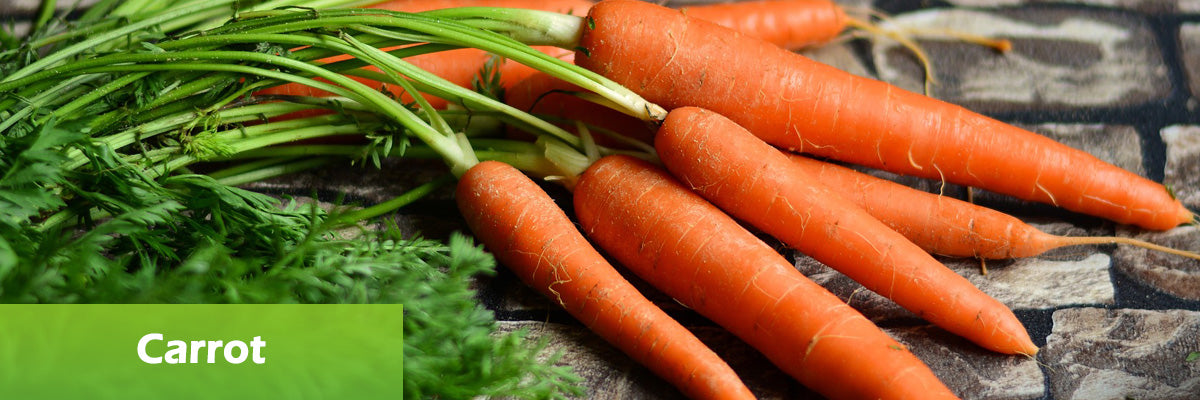 superfood carrot