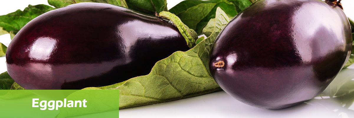 superfood eggplant