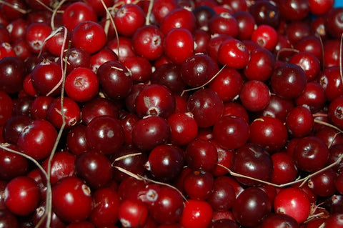 cranberries for kidney health