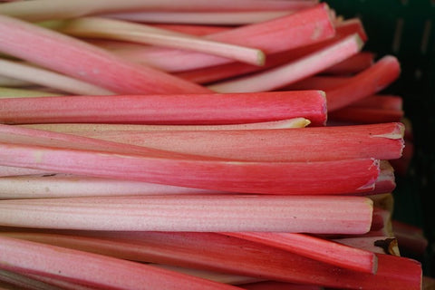 rhubarb for constipation 