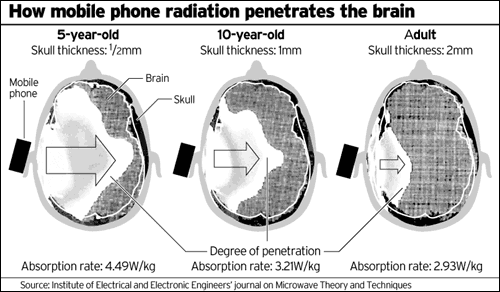 How Cell Phone Radiation Penetrates the Brain