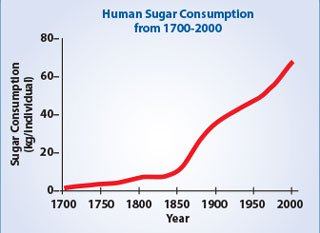 Sugar consumption over time