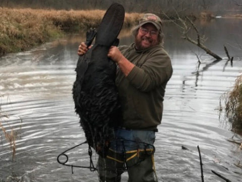 huge-beaver-flat-tail-using-lenon-lure