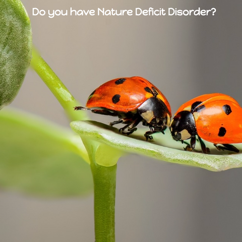 NDD Nature Deficit Disorder. Avoid by #gettingkidsoutdoors #PuzzleTrails #funkidswalks
