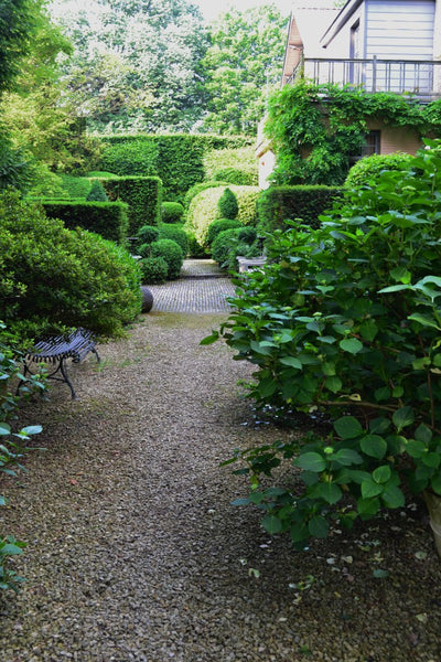 Lush green garden with pea gravel and boxwood - Walda Pairon