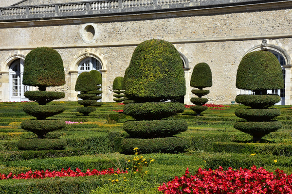 Classic French topiary French garden design ideas