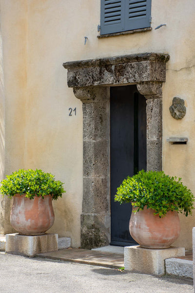 Terra cotta pots beside doorway French garden design