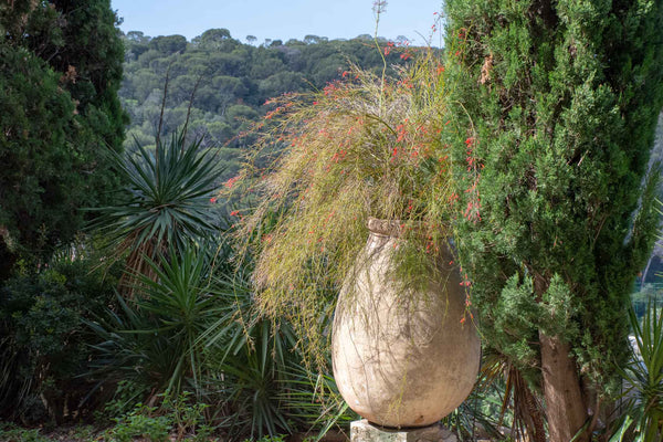 Antique French Biot Jar Mediterranean French garden design