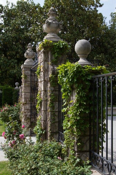 French finials garden gate