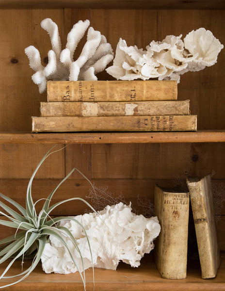 Old books and coral open storage shelf decoration rustic luxury modern farmhouse decor wedding gift online from France