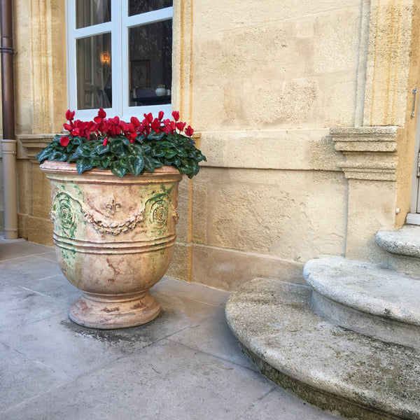 French Anduze urn with cyclamen