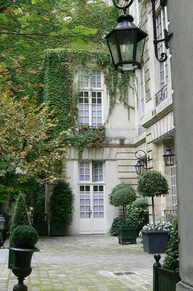 Courtyard in Paris with boxwood topiary and ivy cobblestones