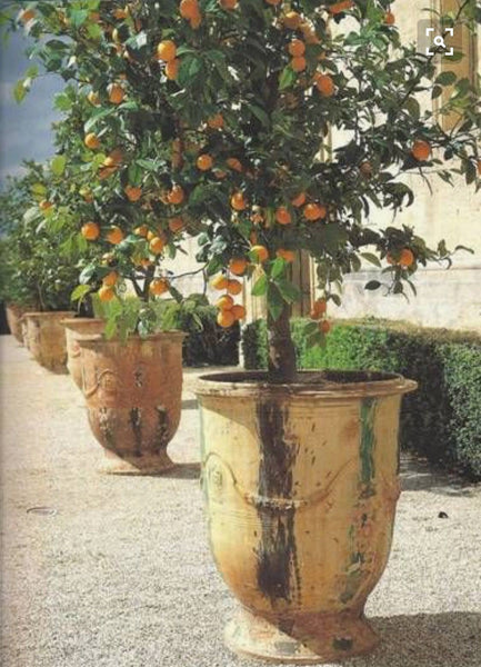 Flame glazed antique anduze urn