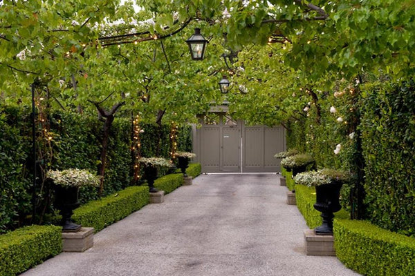 Driveway lined with Medici urns and lanterns