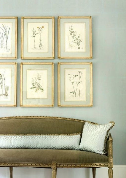 Vintage French herbarium gallery wall French farmhouse interior design ideas