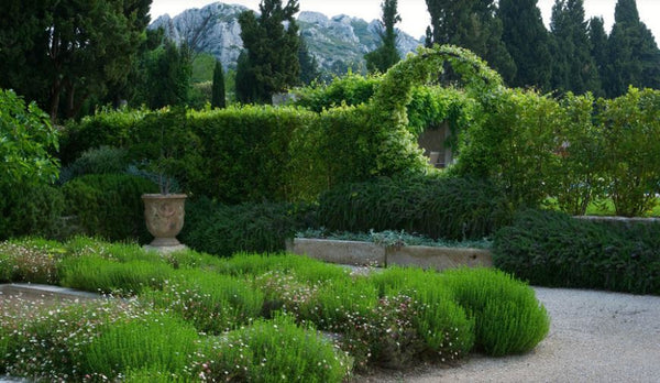 Anduze urn vase planter in French modern farm garden Dominique Lafourcade