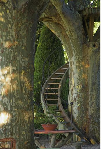 Tree house french farm garden plane tree Lafourcade