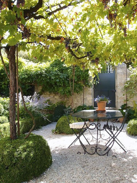 Small French garden ideas gravel wisteria vine